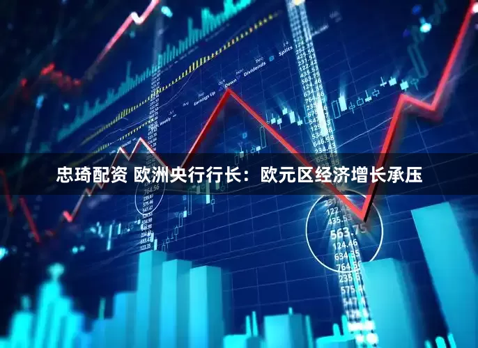 忠琦配资 欧洲央行行长：欧元区经济增长承压